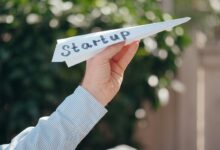 business growth opportunities identified