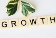sustainable development strategies outlined