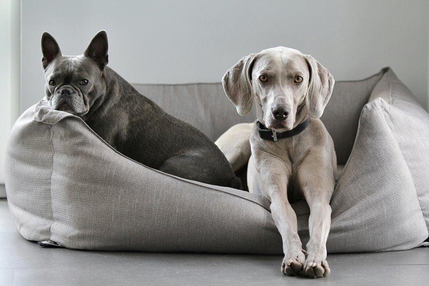 easy care protective dog breeds