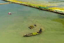 enterprise resource commission numbers