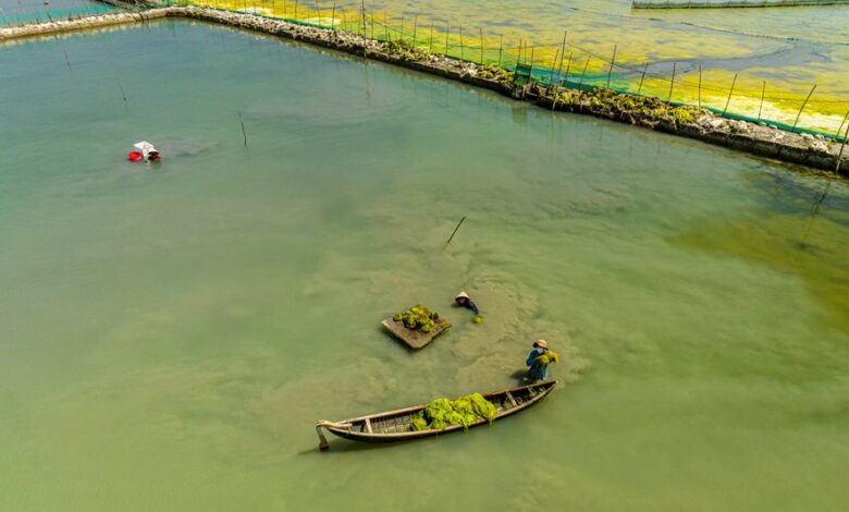 enterprise resource commission numbers