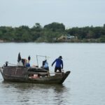 global business growth insights