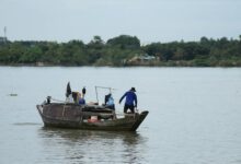 global business growth insights