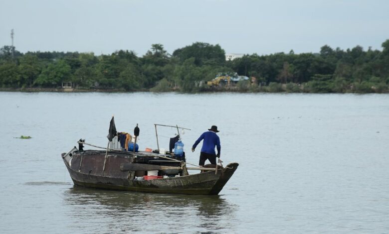 global business growth insights