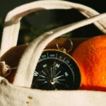 market evolution data analysis