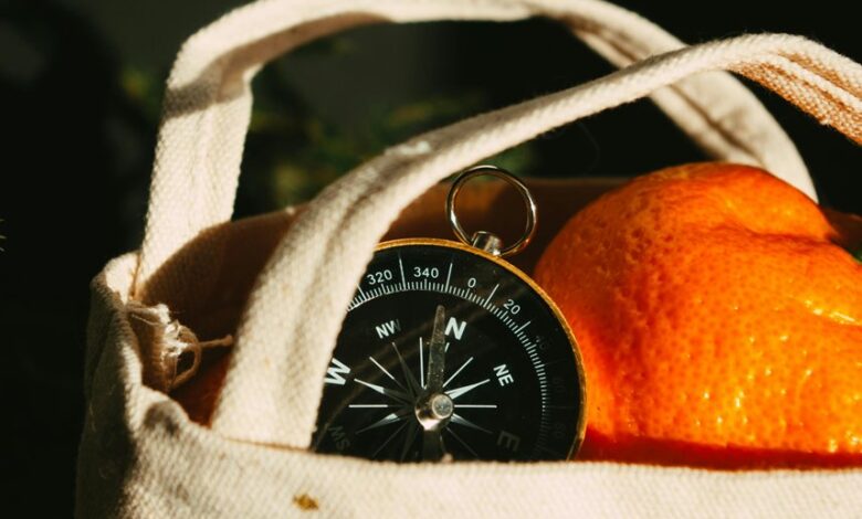 market evolution data analysis