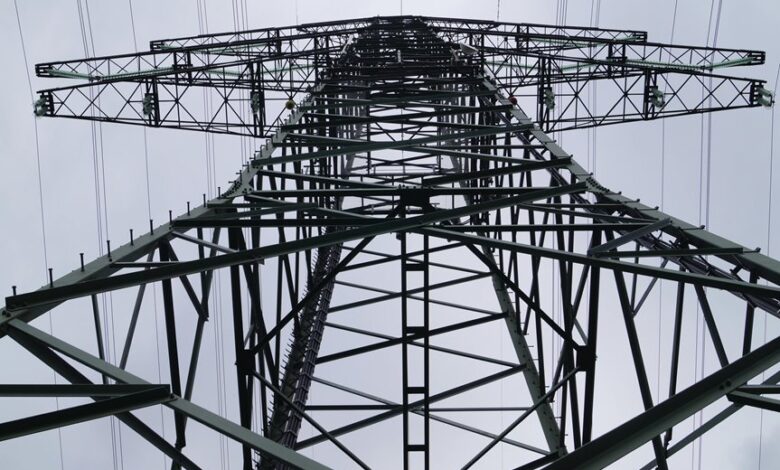 professional support for businesses