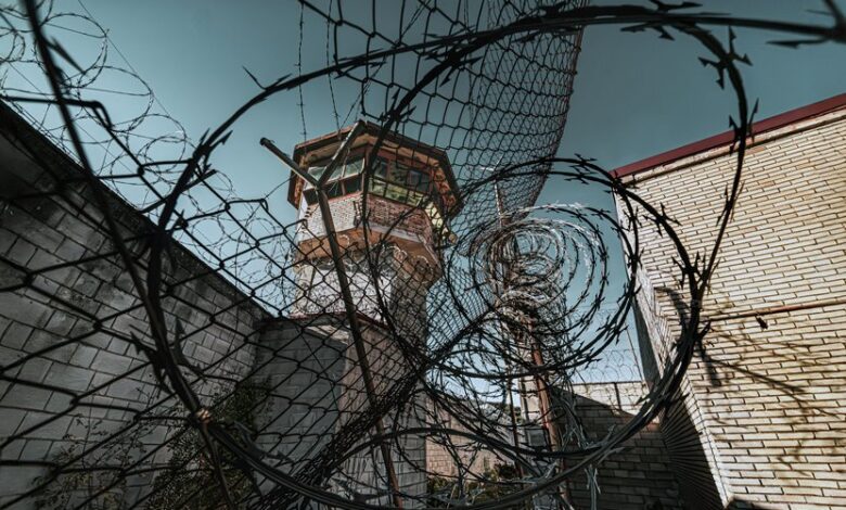 telecom security contact numbers