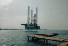 build your online business